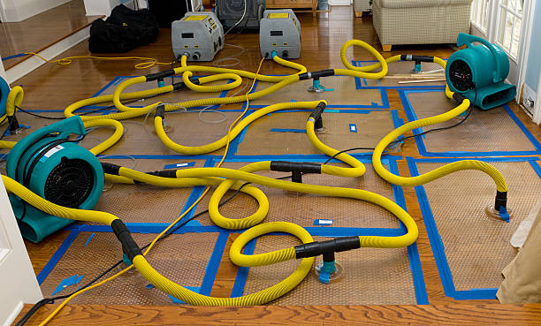Professional Flood Damage Restoration technician working in Whiteland, IN